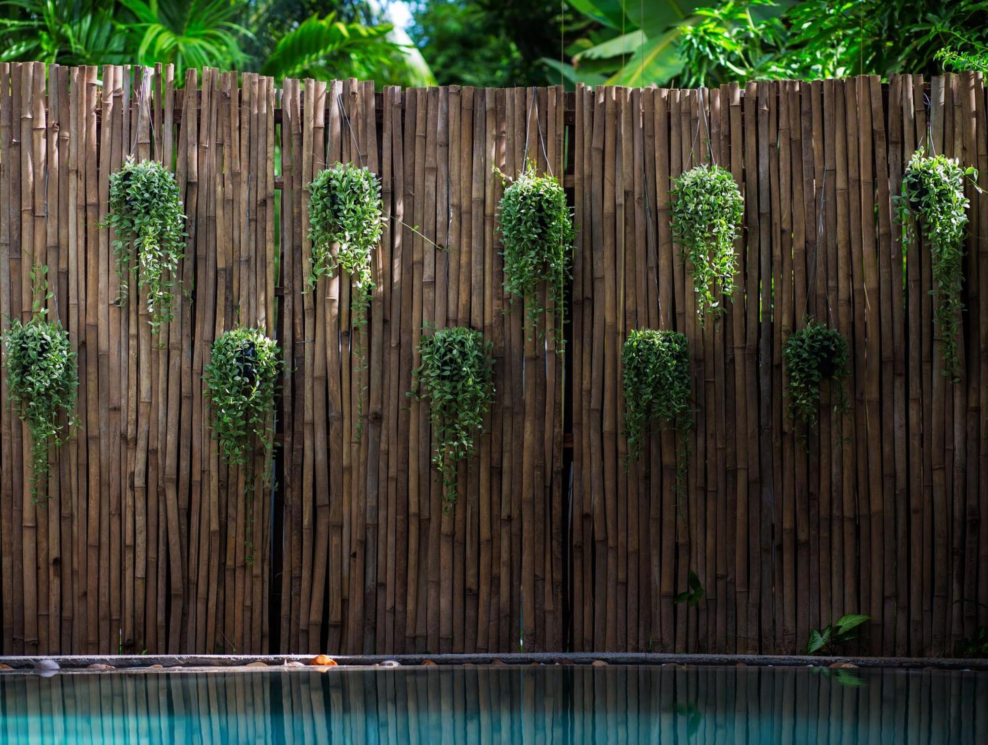 Apsara Suorkear Villa Siem Reap Exteriör bild