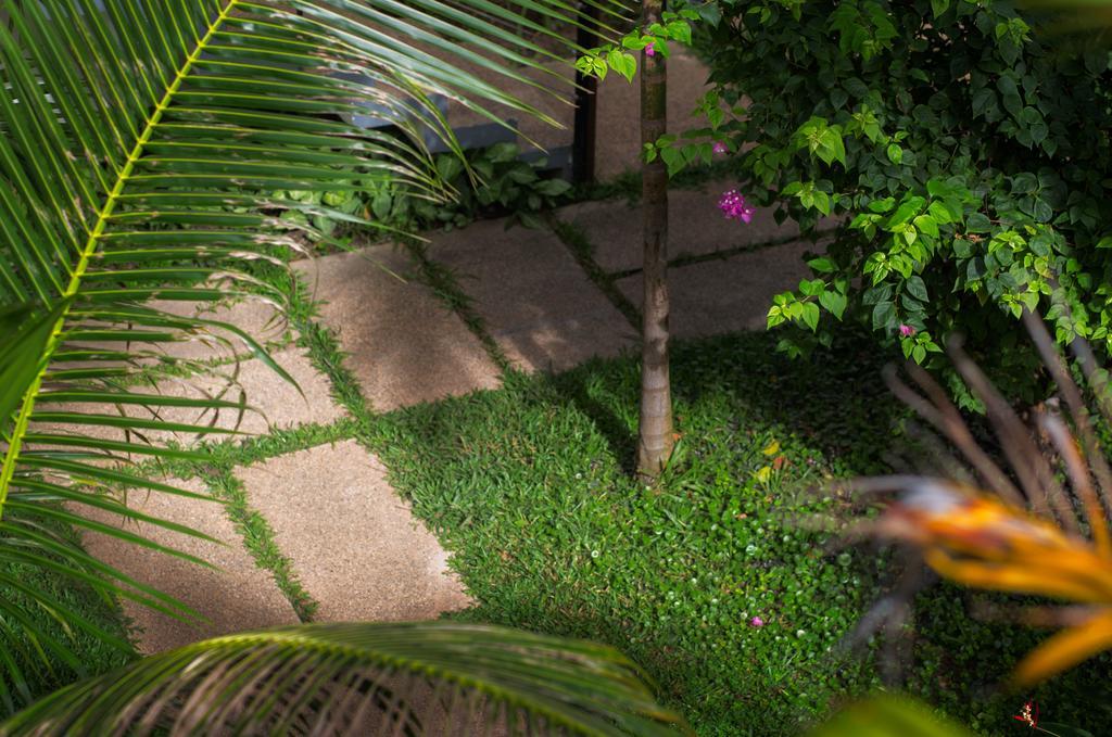 Apsara Suorkear Villa Siem Reap Exteriör bild